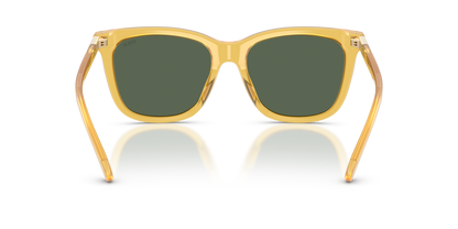 POLO PH4201U 500571 55