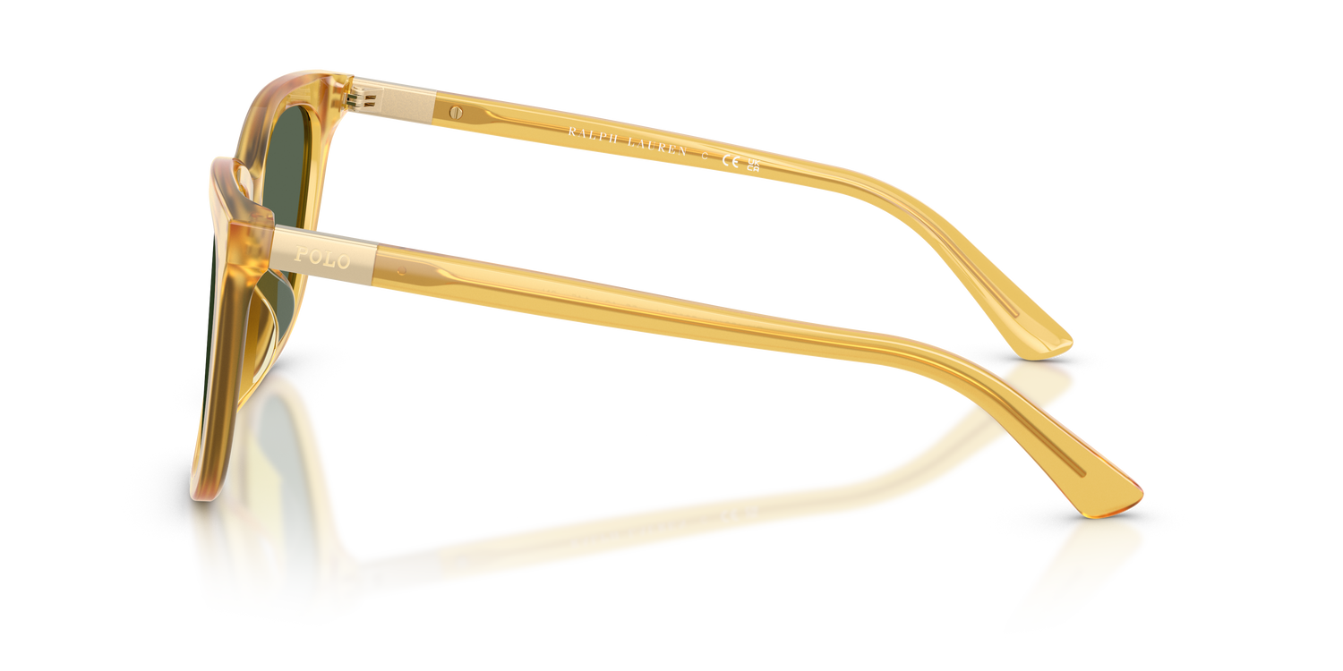 POLO PH4201U 500571 55