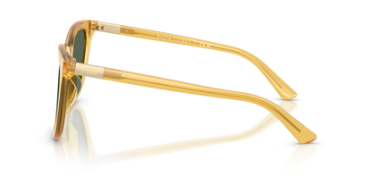 POLO PH4201U 500571 55