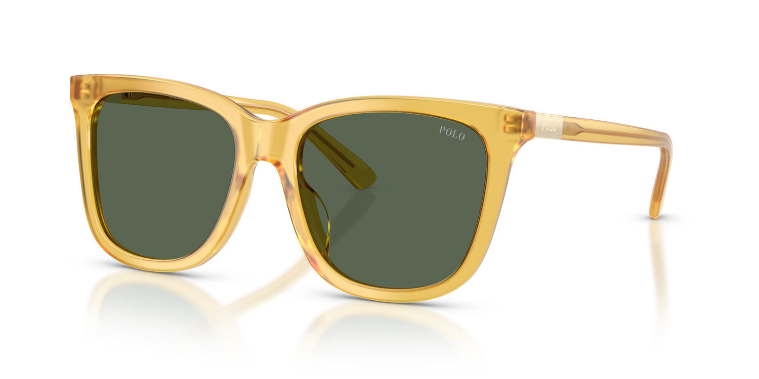 POLO PH4201U 500571 55