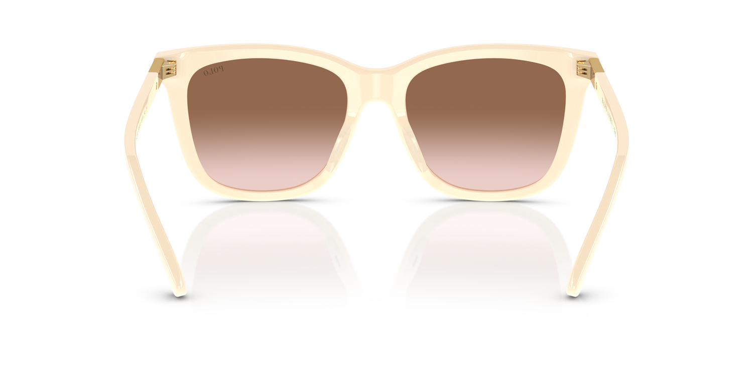 POLO PH4201U 605713 55