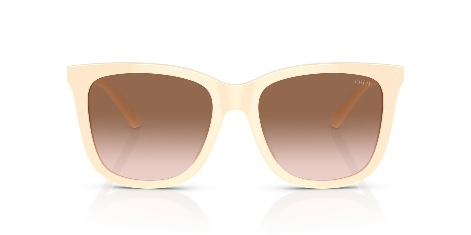 POLO PH4201U 605713 55