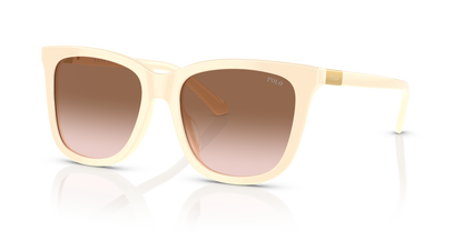 POLO PH4201U 605713 55