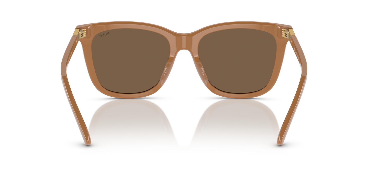 POLO PH4201U 619673 55