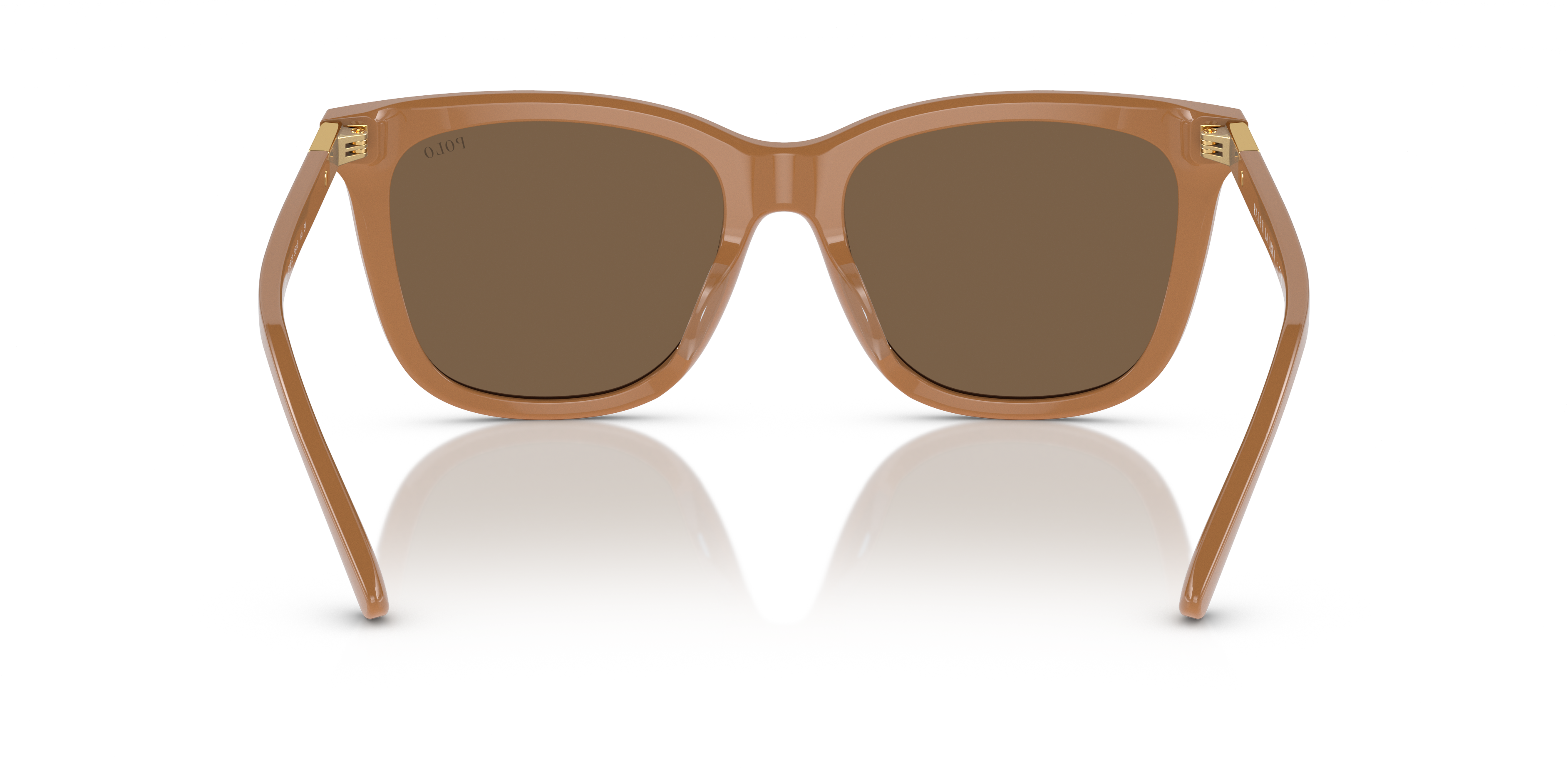 POLO PH4201U 619673 55