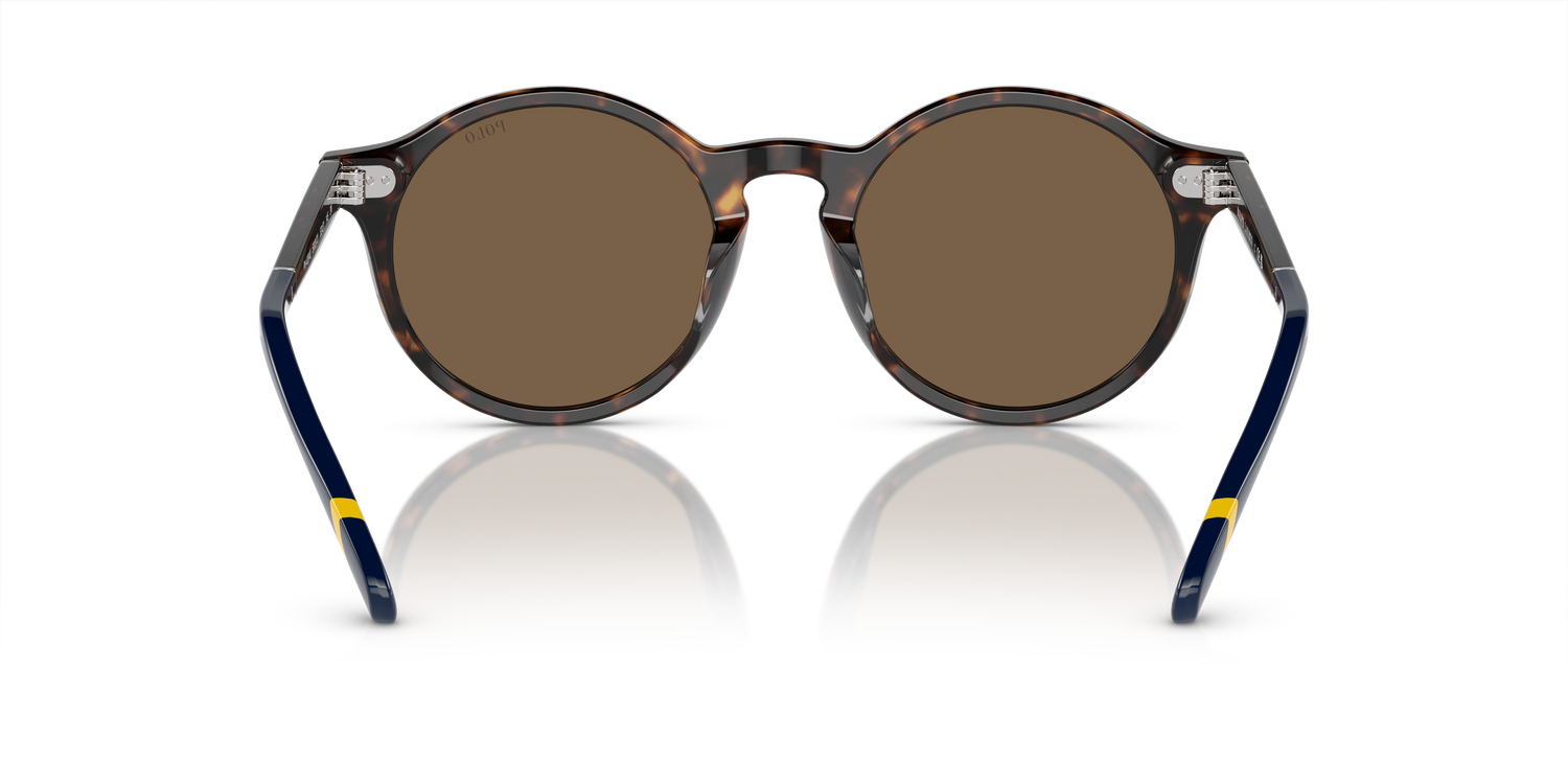 POLO PH4204U 500373 53