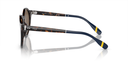 POLO PH4204U 500373 53