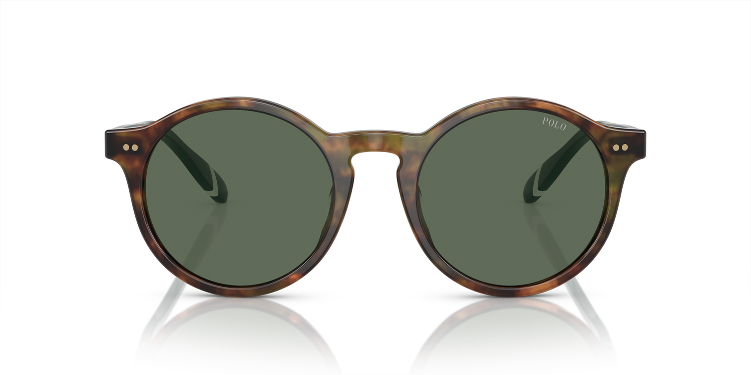 POLO PH4204U 501771 53