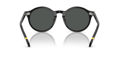 POLO PH4204U 538587 53