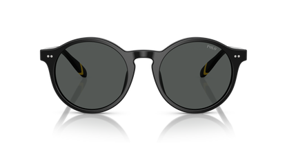 POLO PH4204U 538587 53