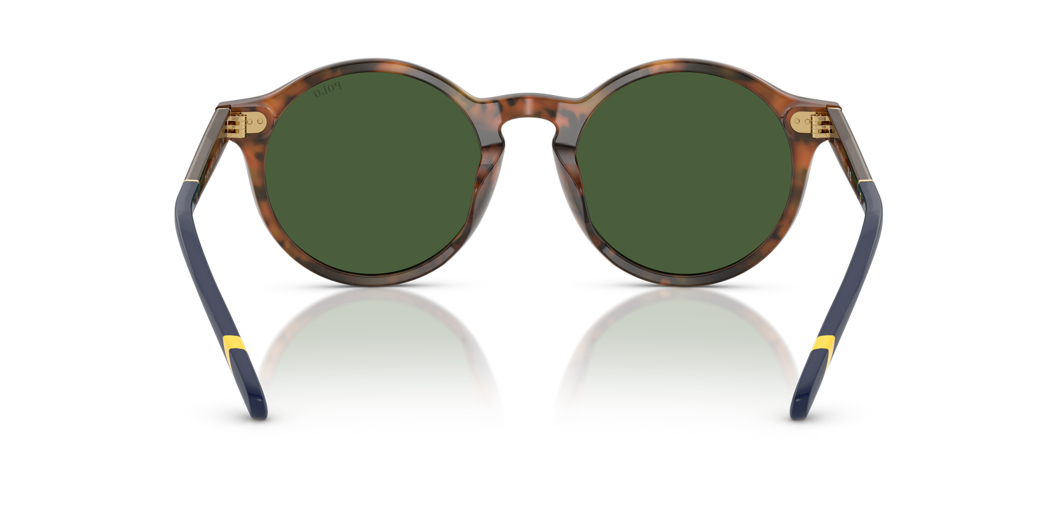 POLO PH4204U 562571 53