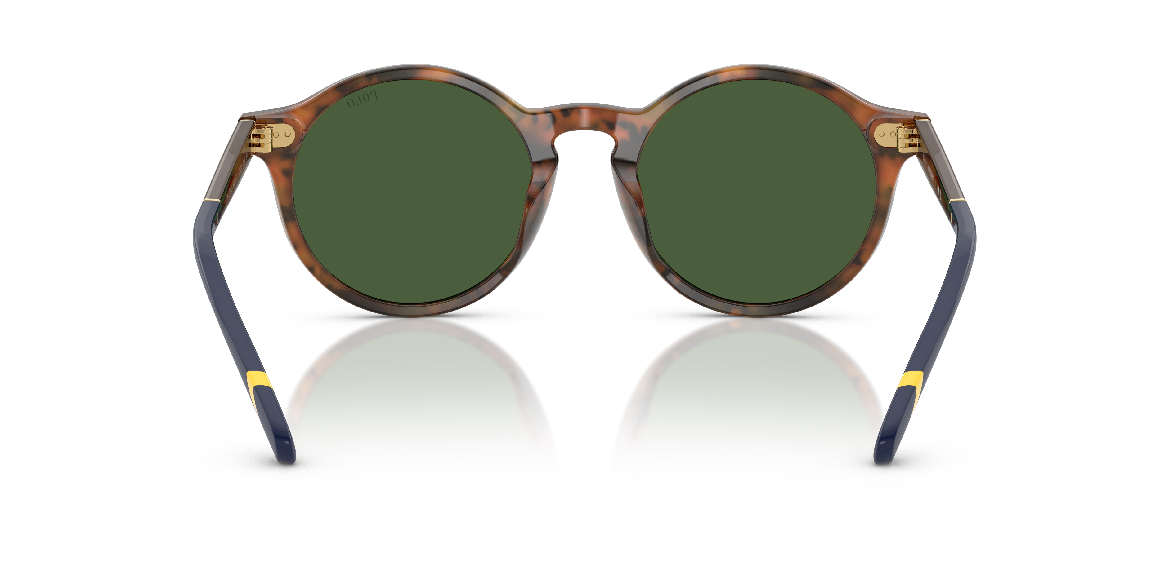 POLO PH4204U 562571 50