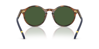 POLO PH4204U 562571 50