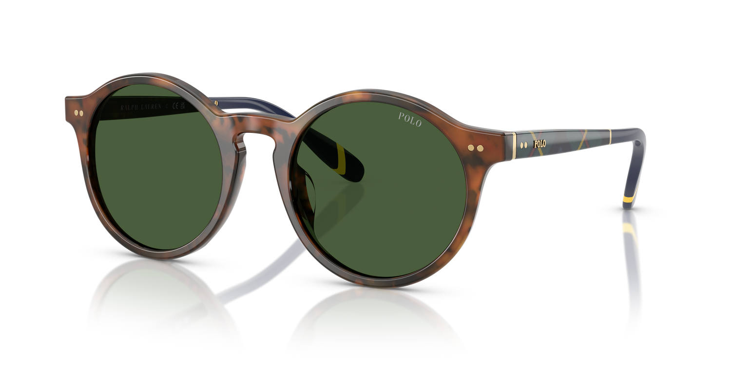 POLO PH4204U 562571 53