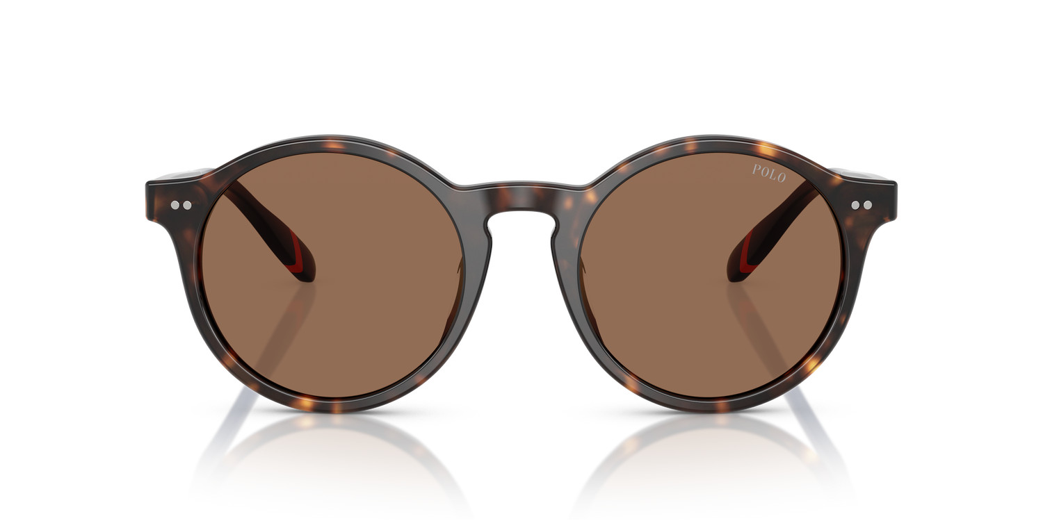 POLO PH4204U 567373 53