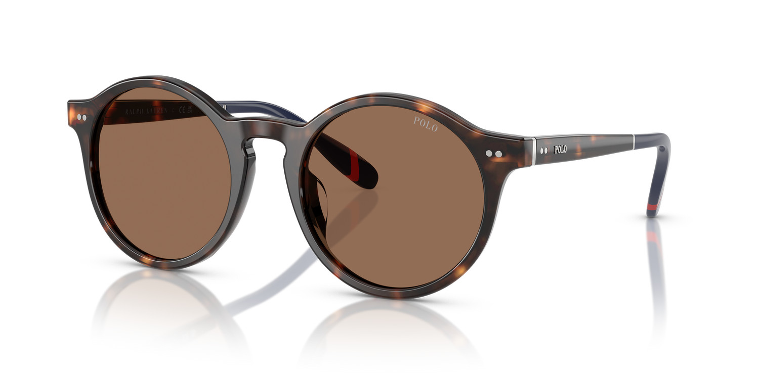 POLO PH4204U 567373 53