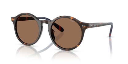 POLO PH4204U 567373 53