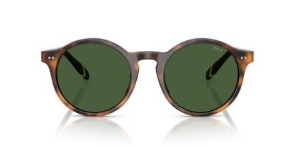 POLO PH4204U 608971 50