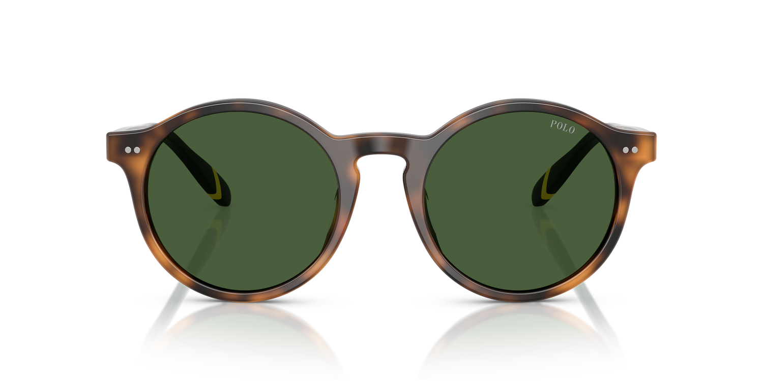 POLO PH4204U 608971 53