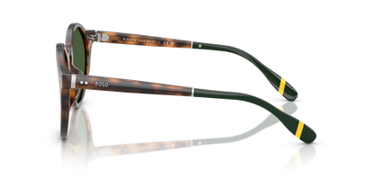 POLO PH4204U 608971 50