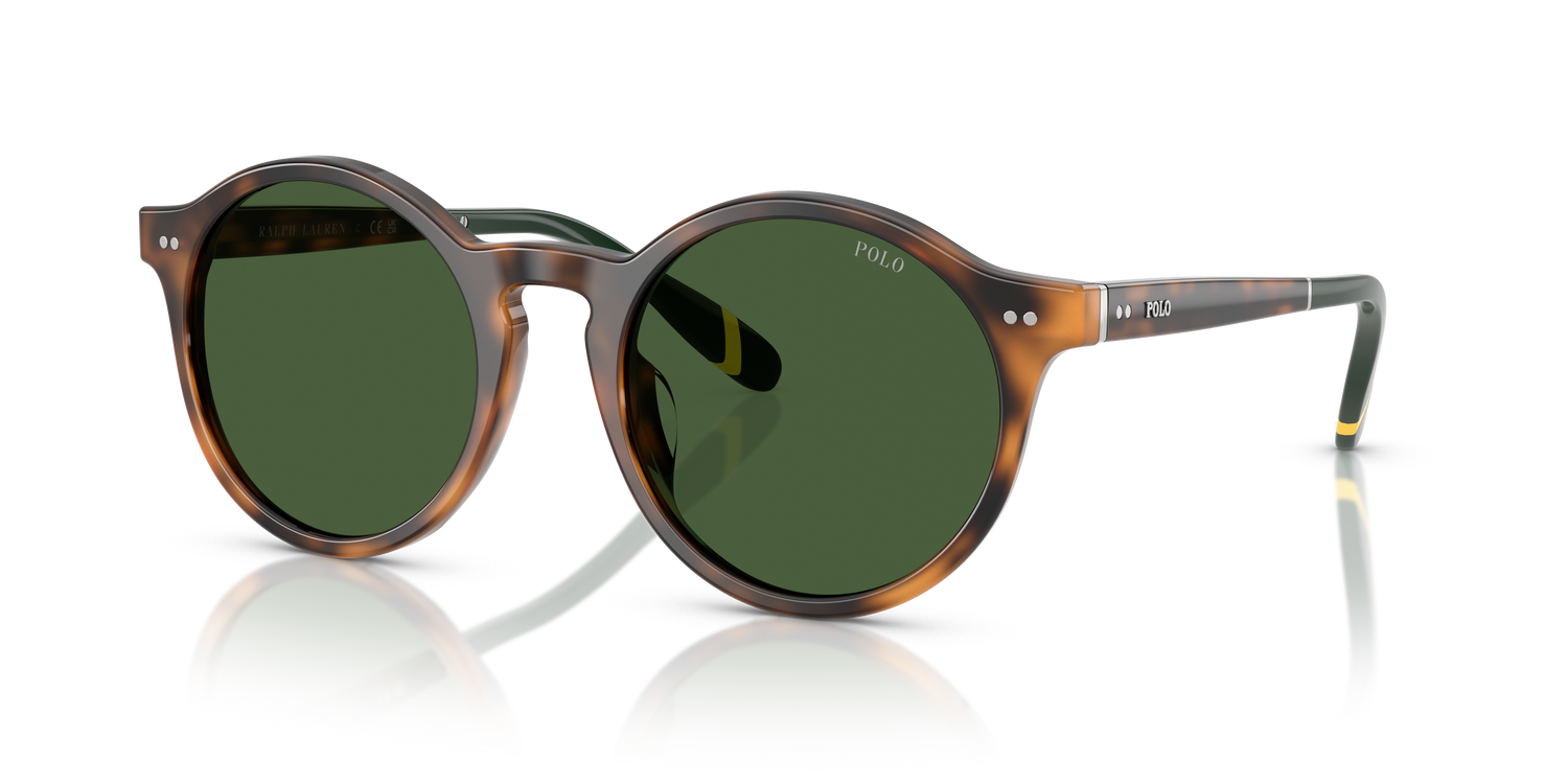 POLO PH4204U 608971 53