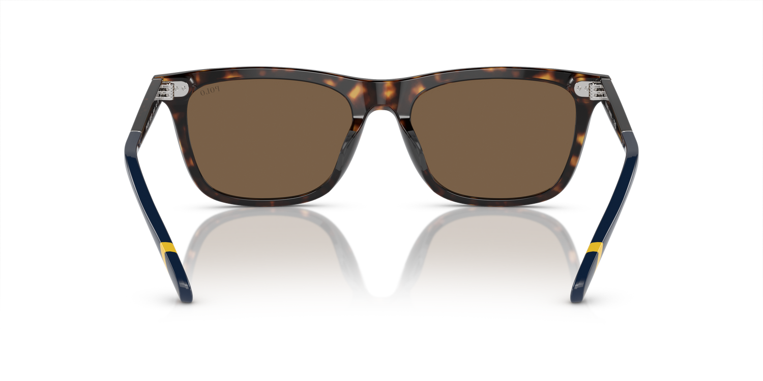 POLO PH4205U 500373 56