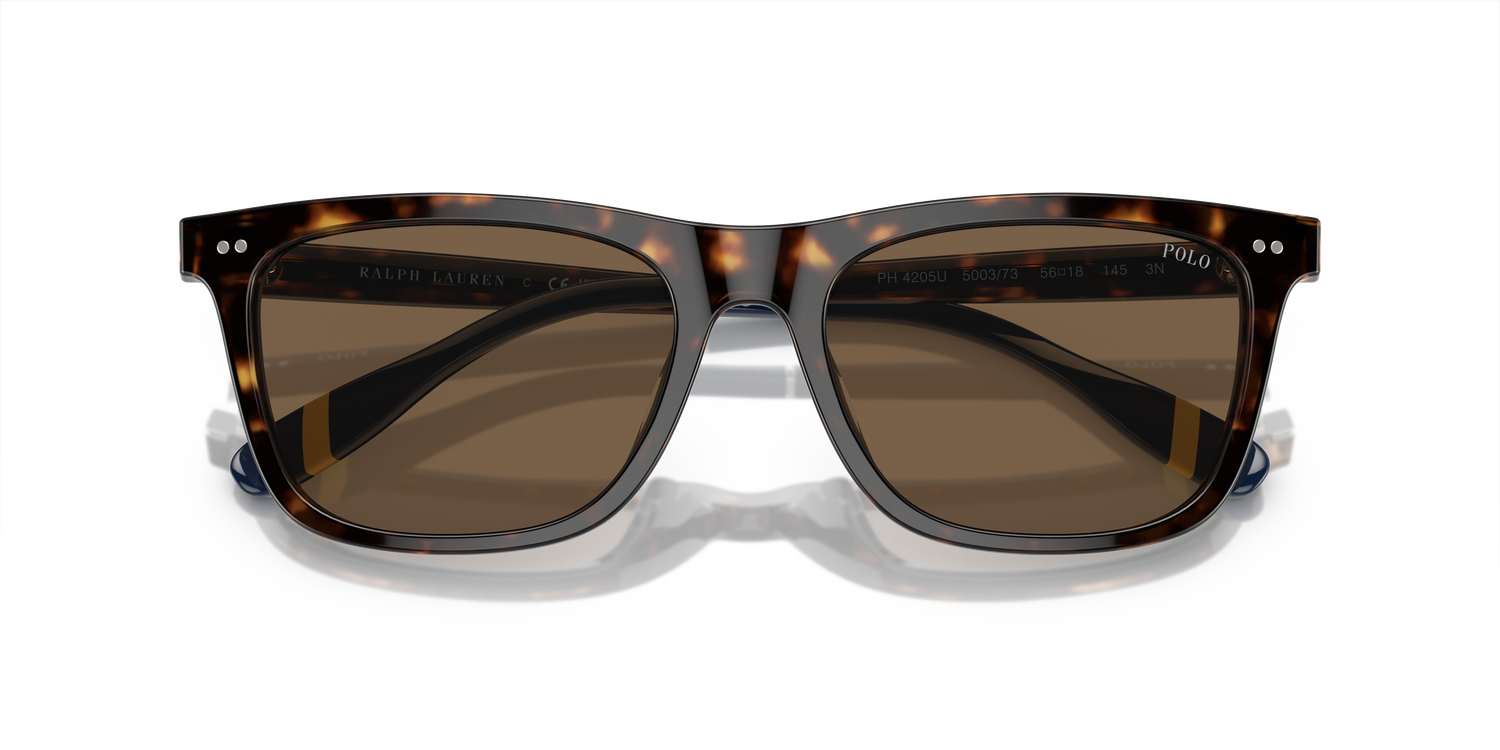 POLO PH4205U 500373 56