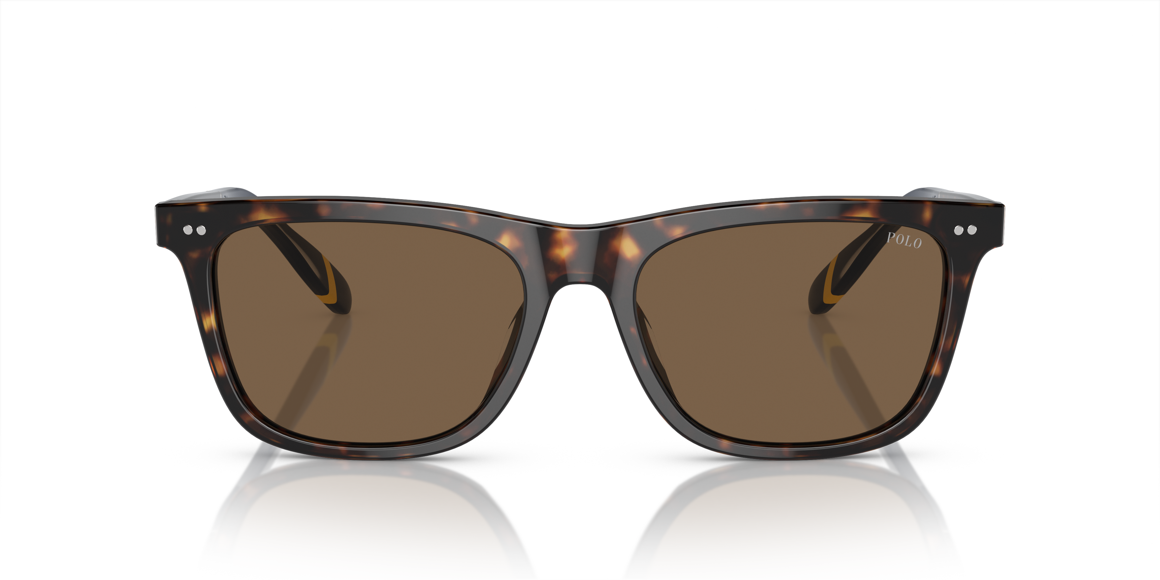 POLO PH4205U 500373 56