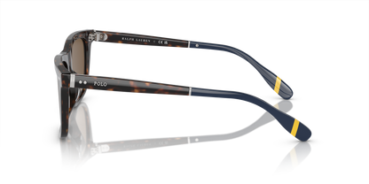 POLO PH4205U 500373 56