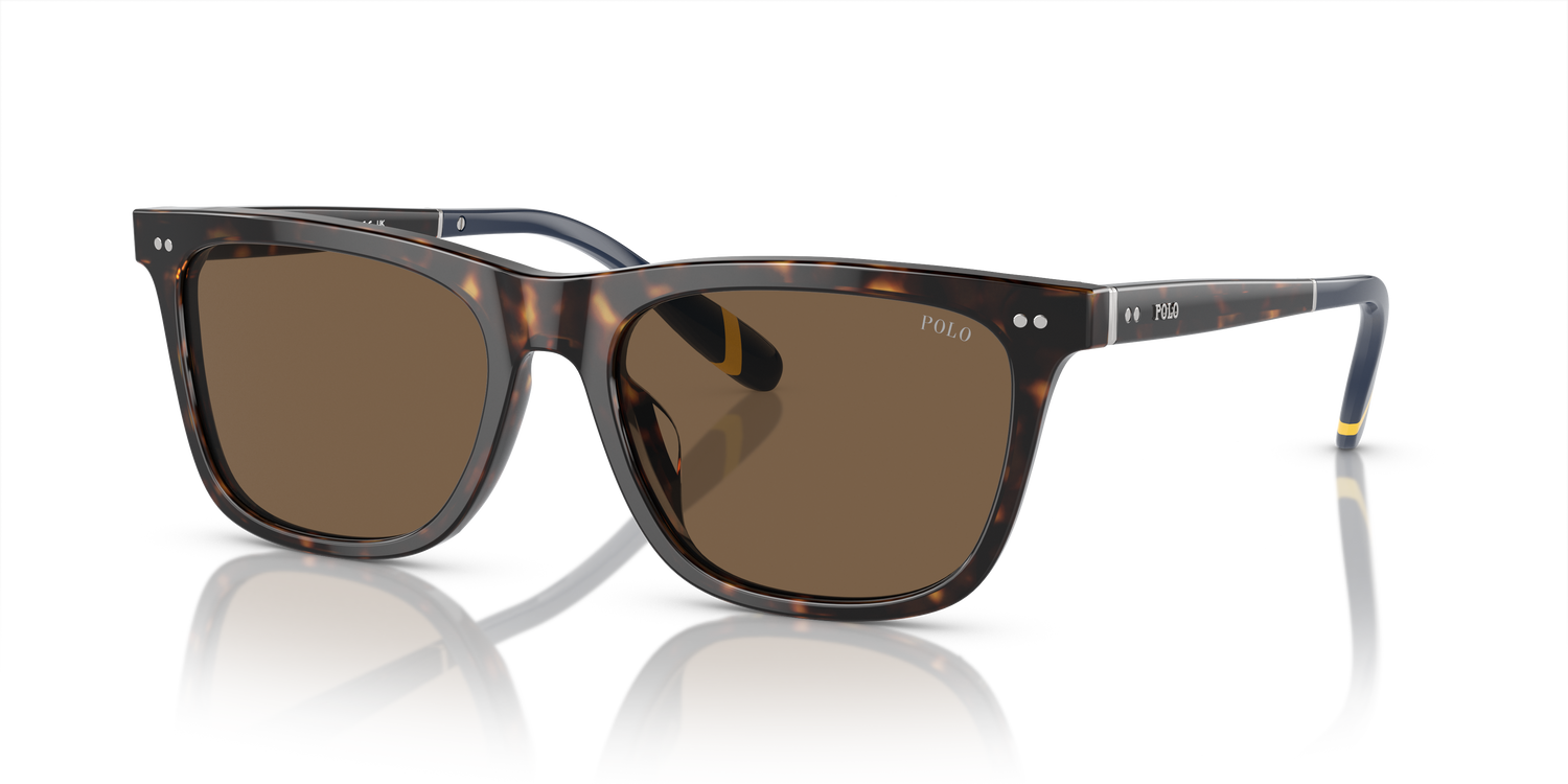 POLO PH4205U 500373 56