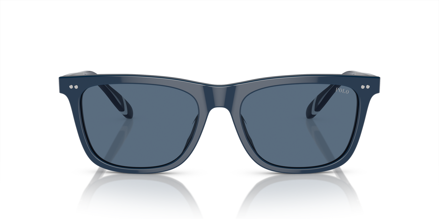 POLO PH4205U 546580 56