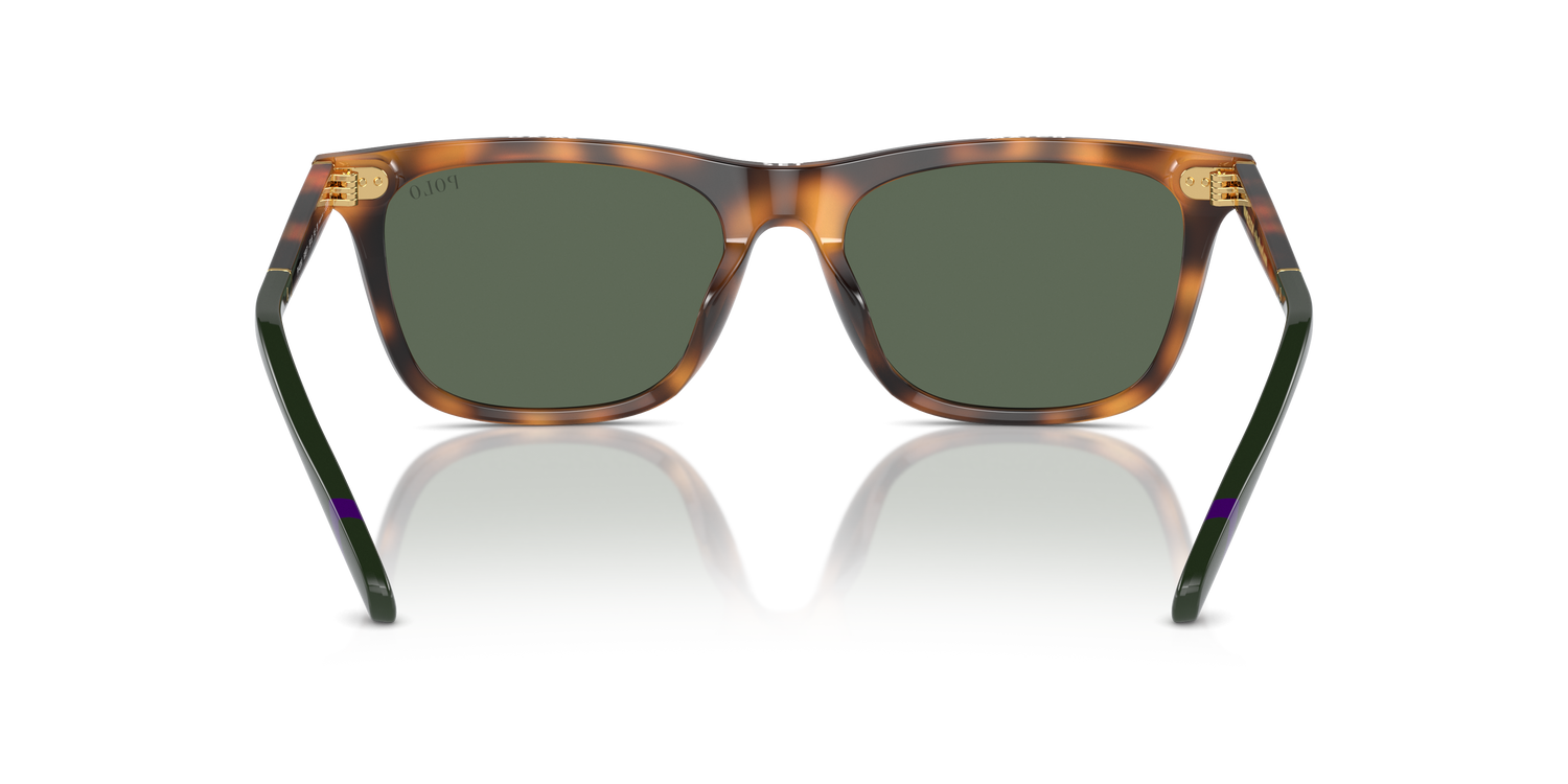 POLO PH4205U 608971 56