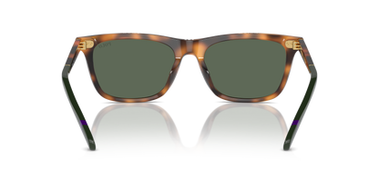 POLO PH4205U 608971 56