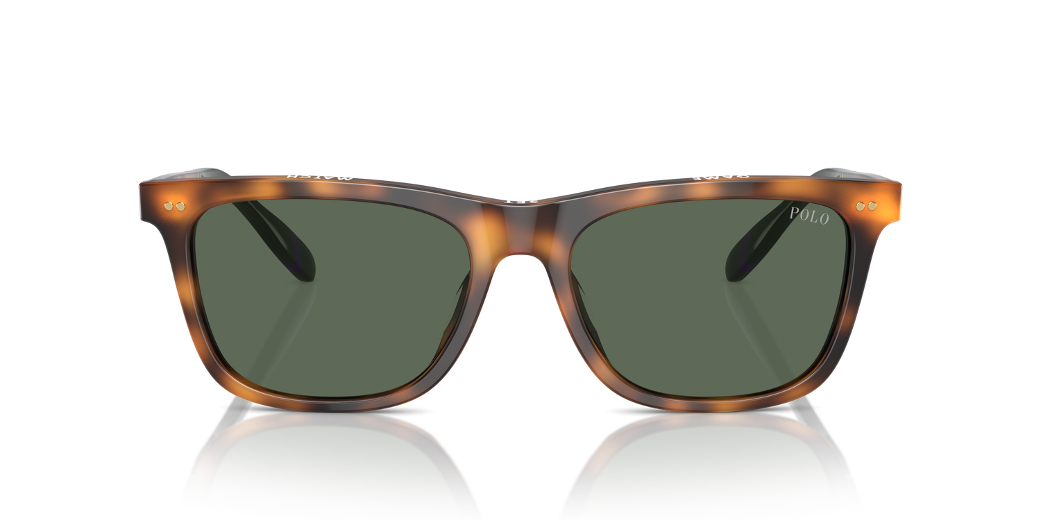 POLO PH4205U 608971 56