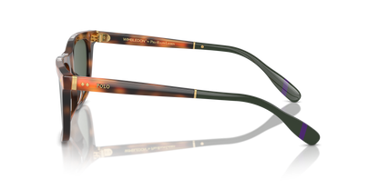 POLO PH4205U 608971 56