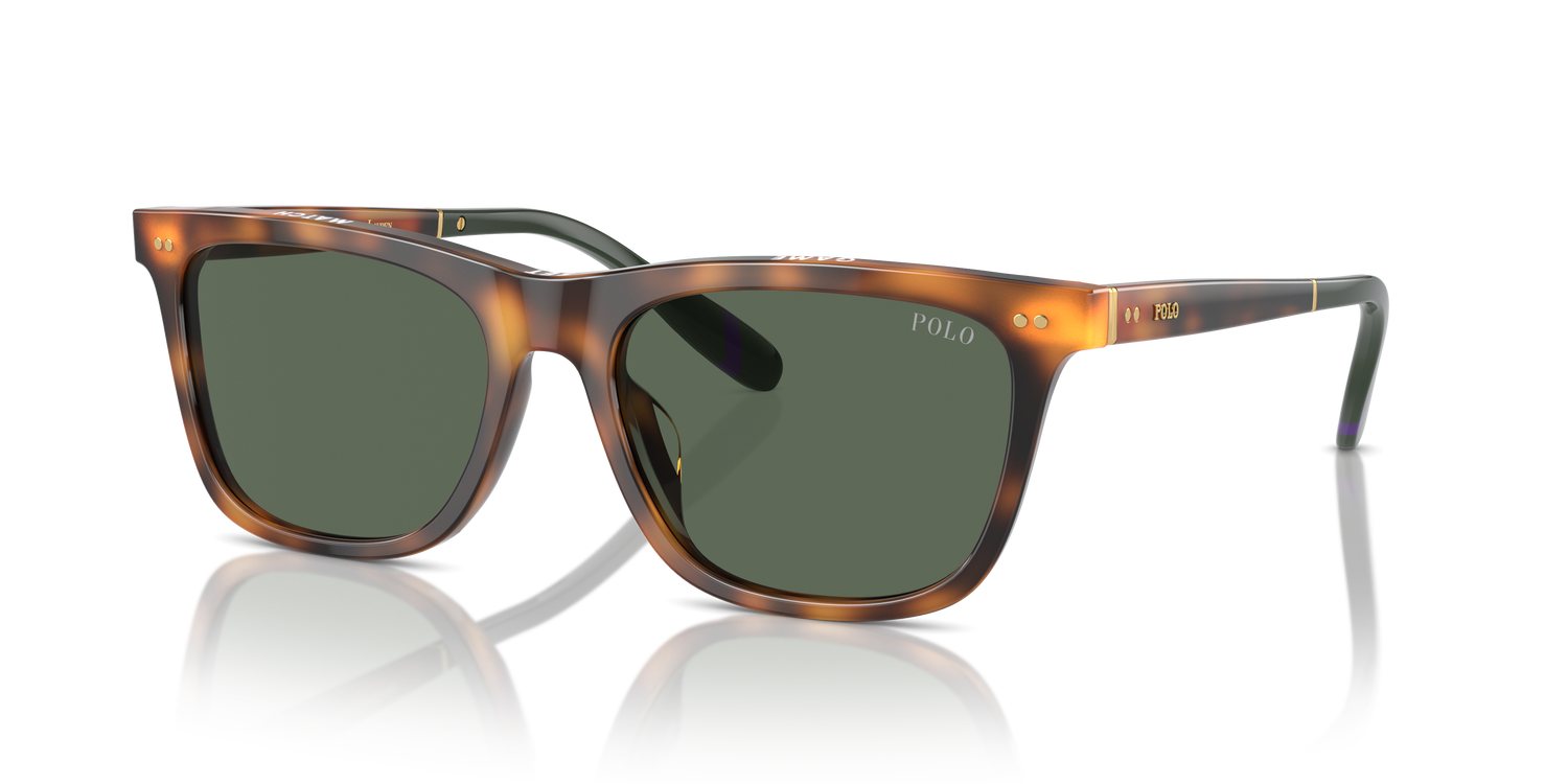 POLO PH4205U 608971 56