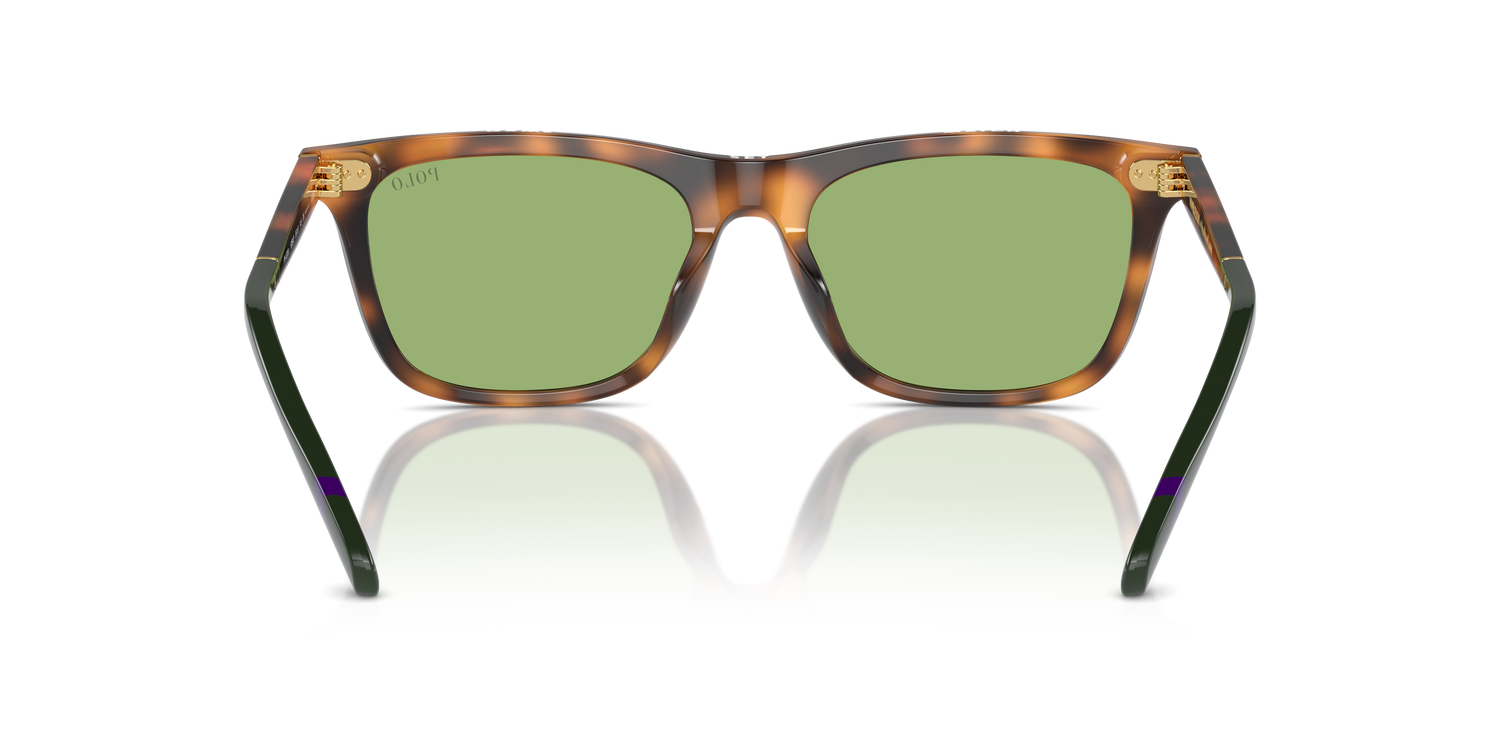 POLO PH4205U 6089/2 56