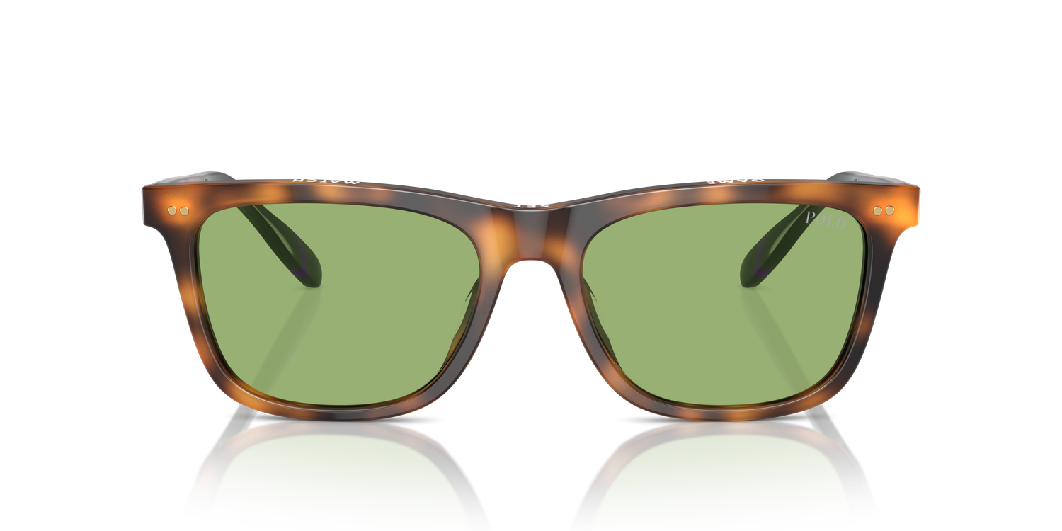 POLO PH4205U 6089/2 56