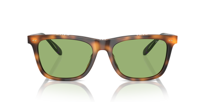 POLO PH4205U 6089/2 56