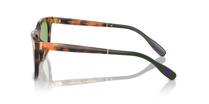 POLO PH4205U 6089/2 56