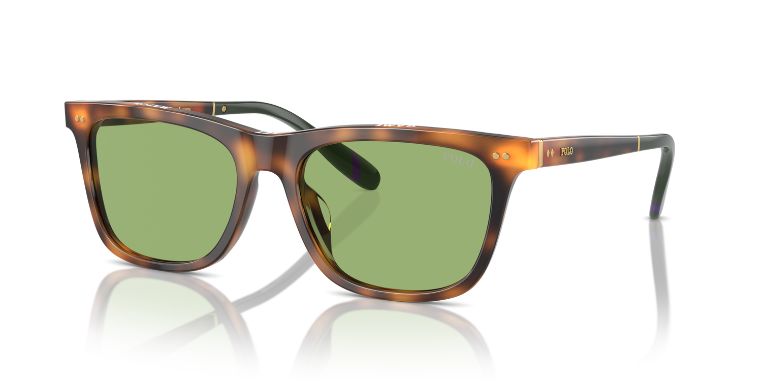 POLO PH4205U 6089/2 56