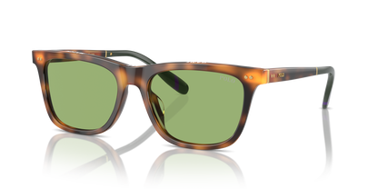 POLO PH4205U 6089/2 56