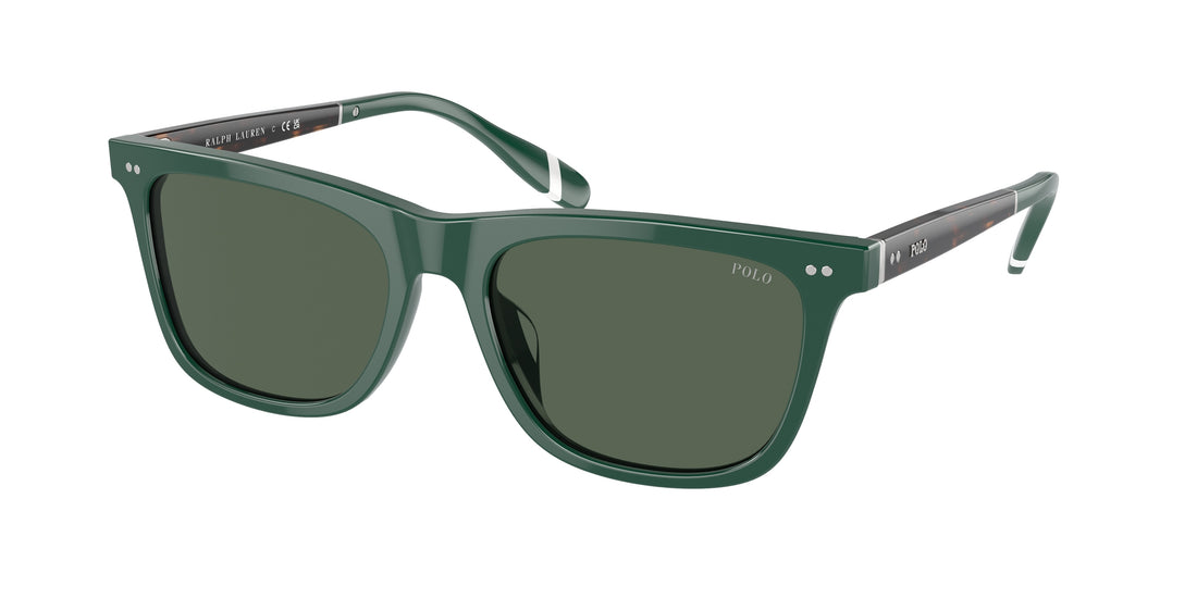 Occhiali da sole polo ph4205u 614171 masculino taglia 56mm - Vista principale