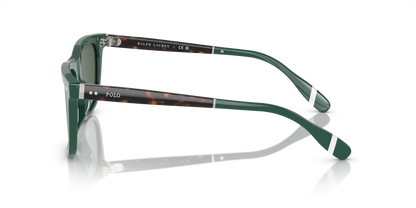 POLO PH4205U 614171 56