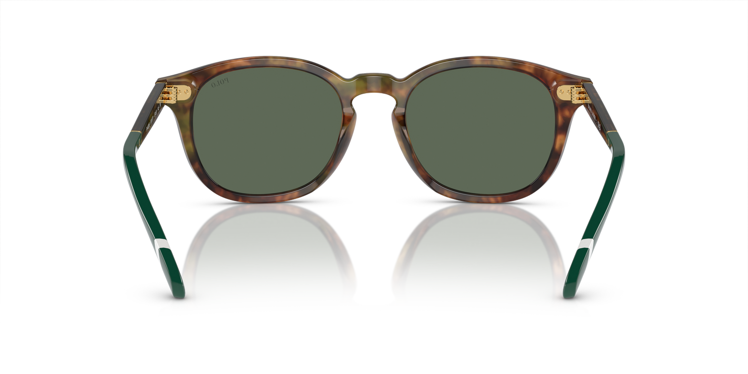 POLO PH4206 501771 52