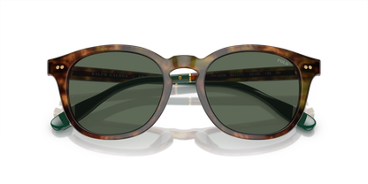 POLO PH4206 501771 52