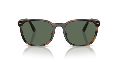 POLO PH4208U 597471 55