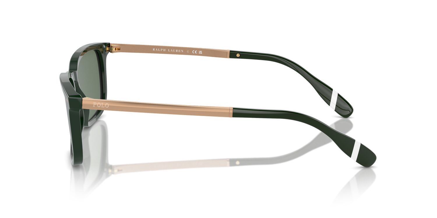 POLO PH4212 614071 55