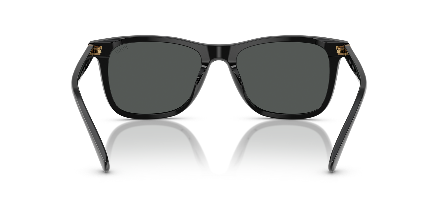 POLO PH4220U 500187 55