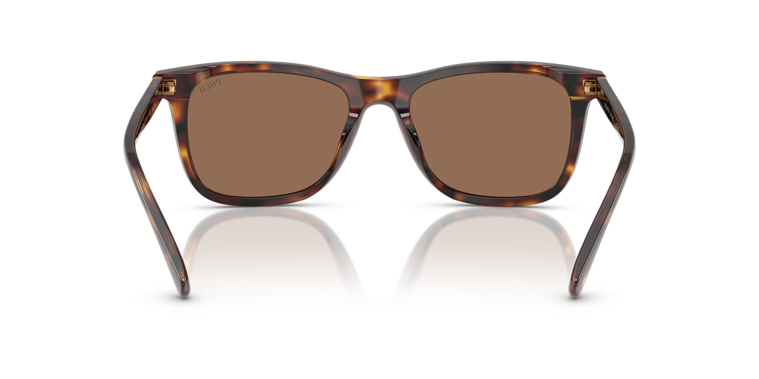 POLO PH4220U 613773 55